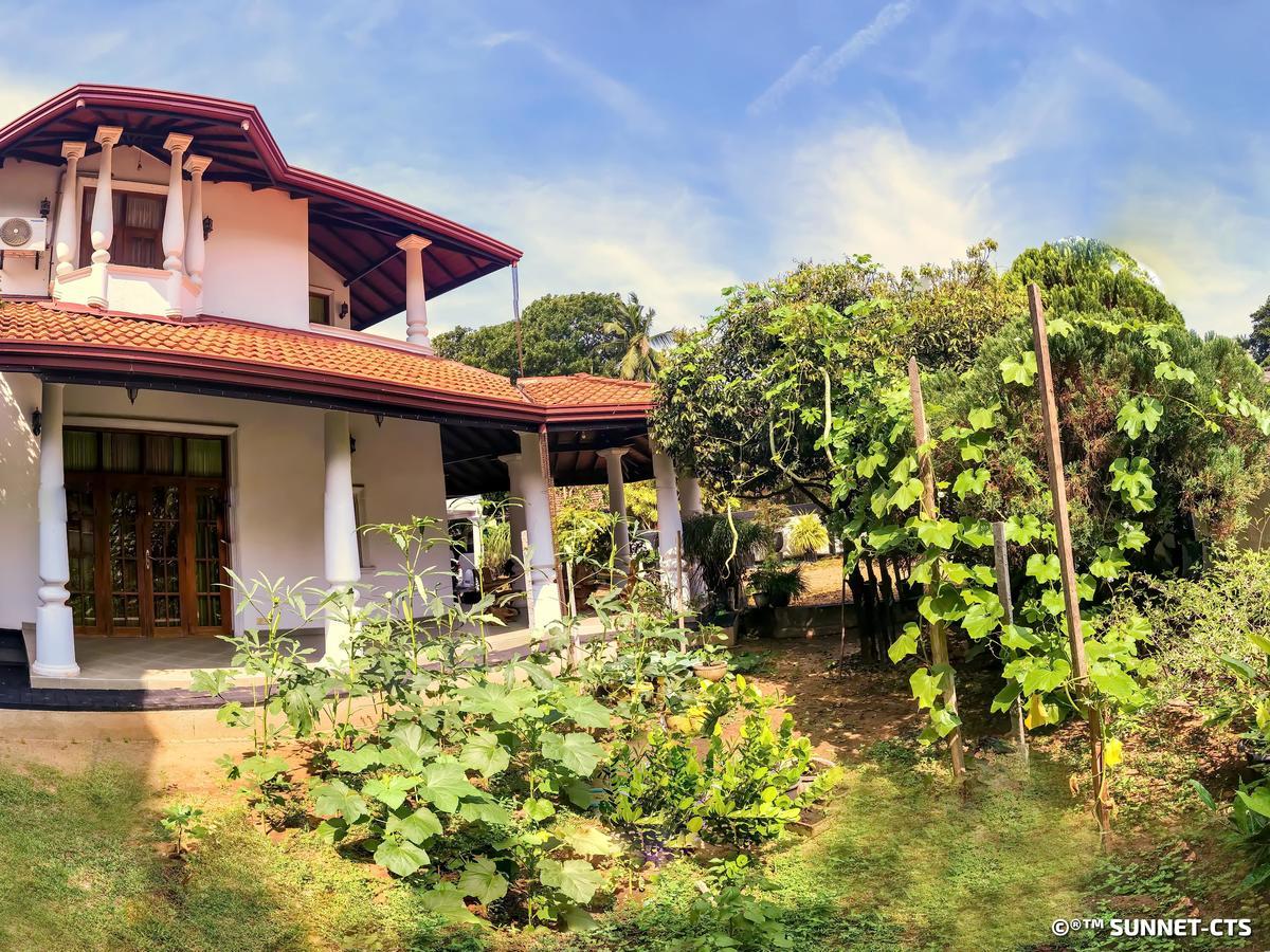 Ceylon Pearlwing Resort Negombo Ngoại thất bức ảnh